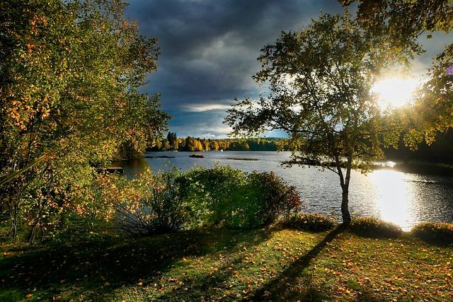 forest, lake, fall