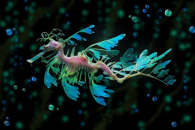 Ruby Seadragon