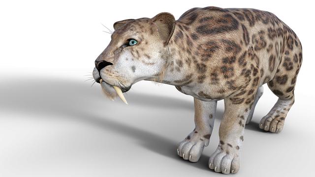 saber-toothed tiger, predator, prehistoric