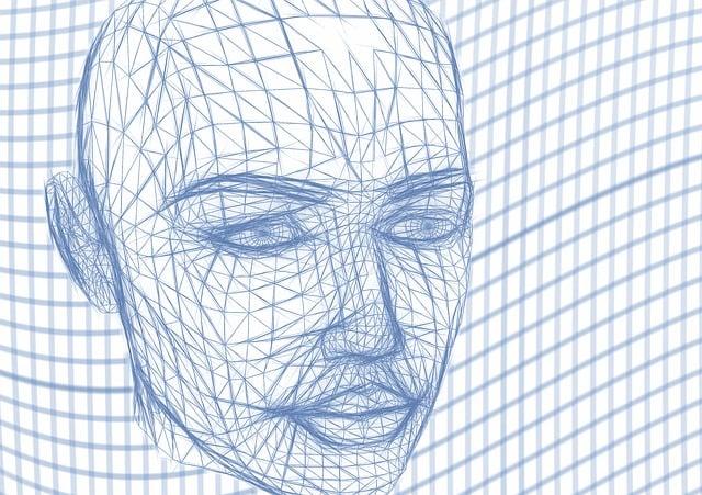 head, wireframe, face