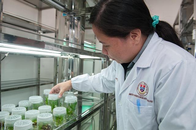 plant tissue culture facility, biotechnology research institute, universiti malaysia sabah