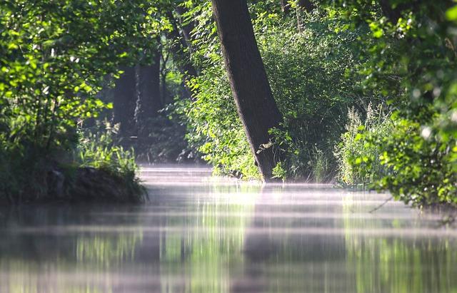 spreewald, spree forest, river