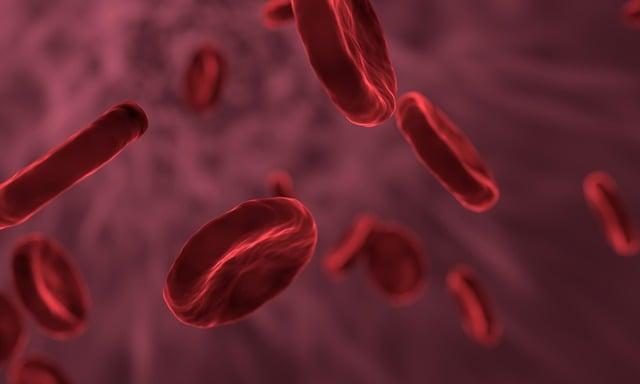 red blood cells, microbiology, biology, cells
