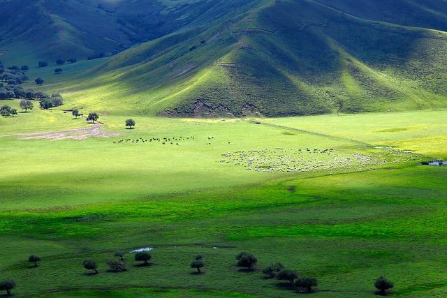 inner mongolia, horqin, grassland