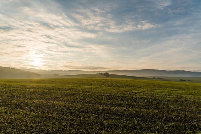 landscape, spacious, field