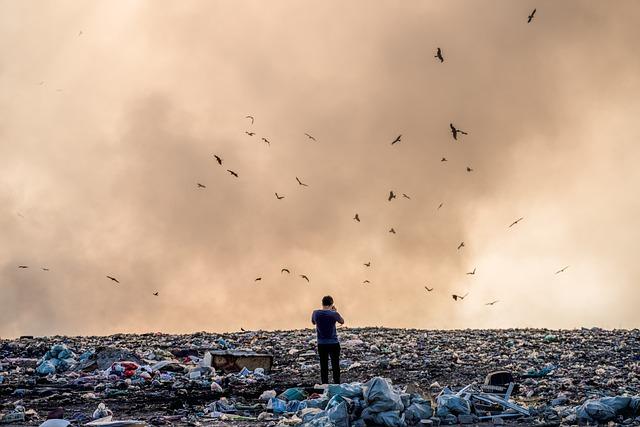 dump, pollution, nature