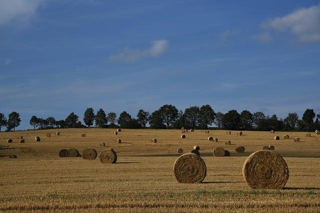 field, highlands, bales of hay