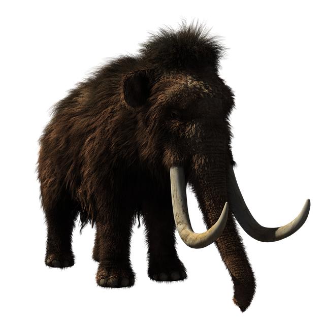 woolly mammoth, animal, prehistoric