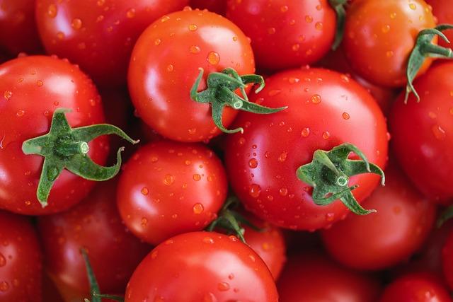 tomatoes, vegetables, fresh tomatoes