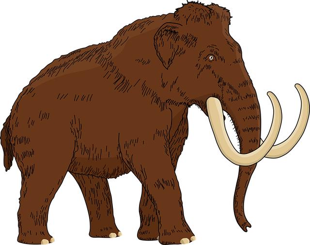 woolly mammoth, animal, extinct