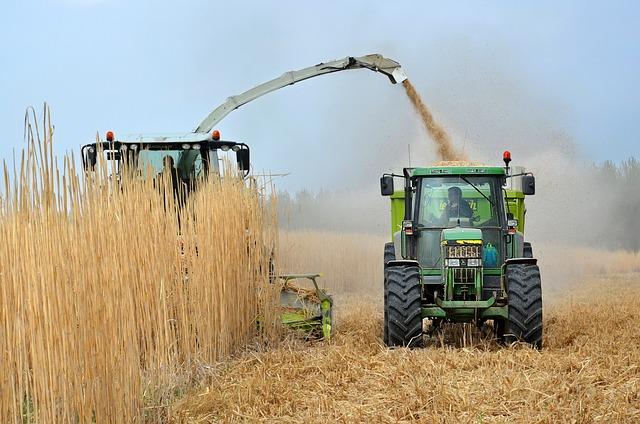 crop, tractor, elephant grass