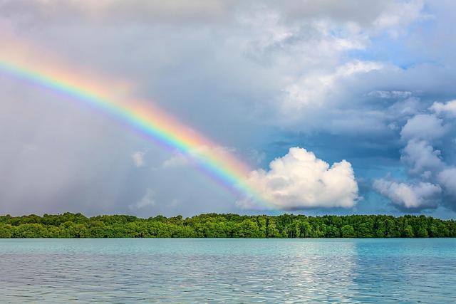 Turning Nature into Capital: How Natural Asset Companies Are Reshaping Financial Markets