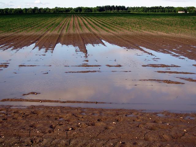 Severe Flooding in Spain: Causes, Impact, and Steps Toward Recovery