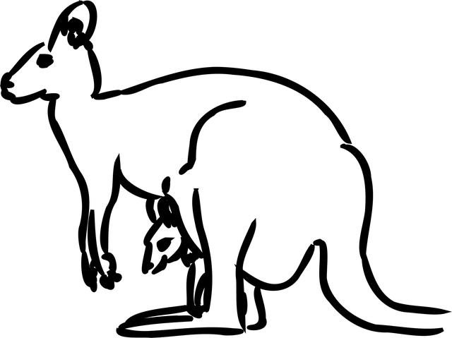 kangaroo, nature, baby, animal, mammal, jumping, australia, australian