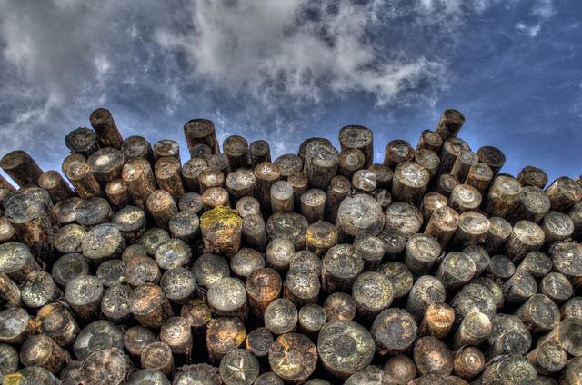 logs, wood, lumber