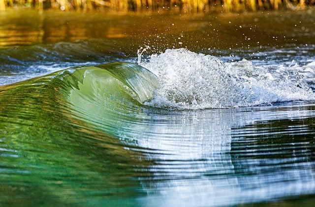 danube river, wave, danube wave