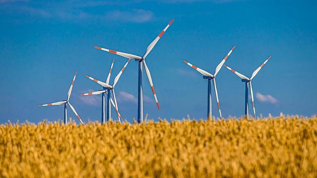 windmill, field, grain