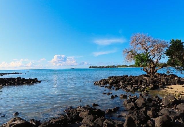 indian ocean, sea, nature