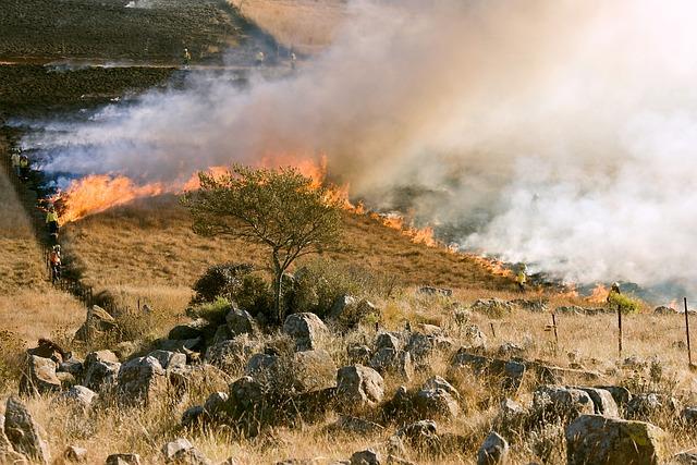 grass fire, firefighter, smoke