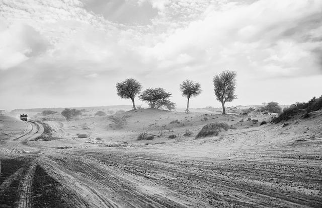 road, desert, monochrome