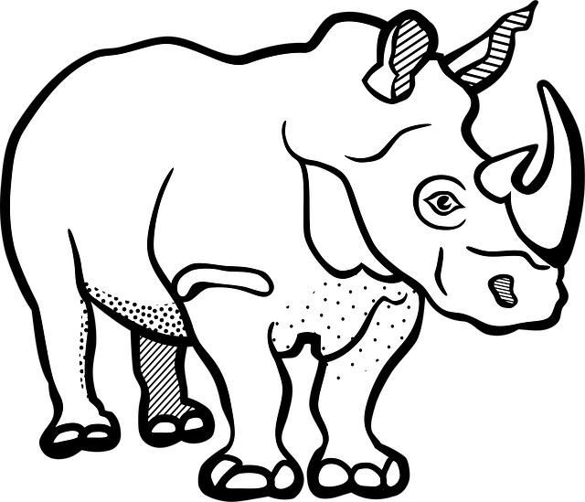 rhino, rhinoceros, mammal, africa, nature, safari, animals