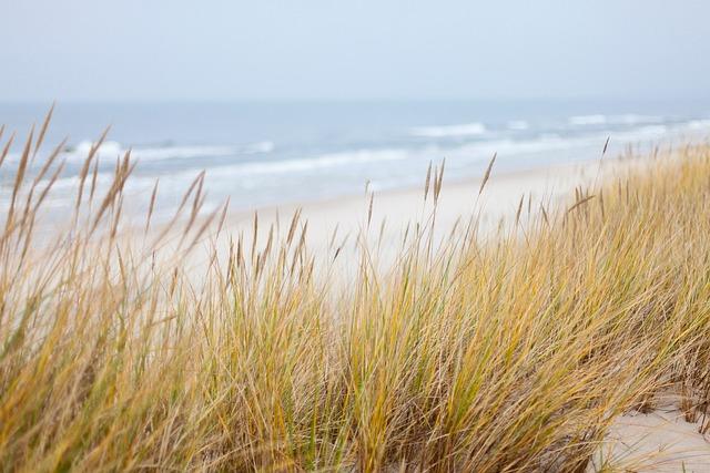 dunes, sea, baltic sea