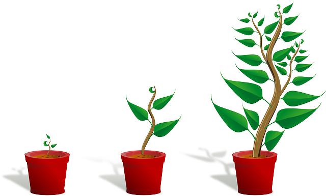 sapling, plant, growing