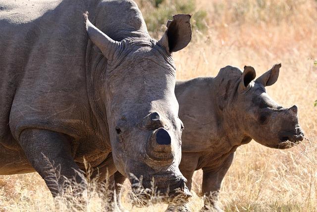 Major species threatened due to climate change & biodiversity loss