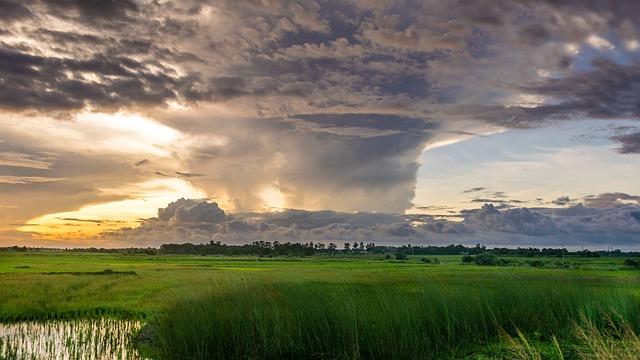 field, rural, sunset