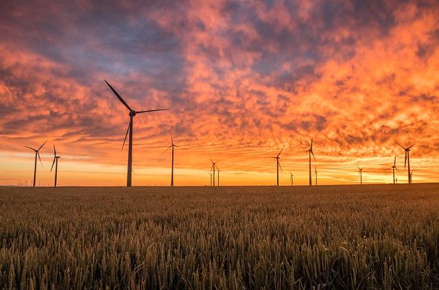 windmills, fields, nature