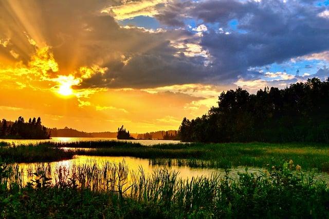 lake, forest, summer