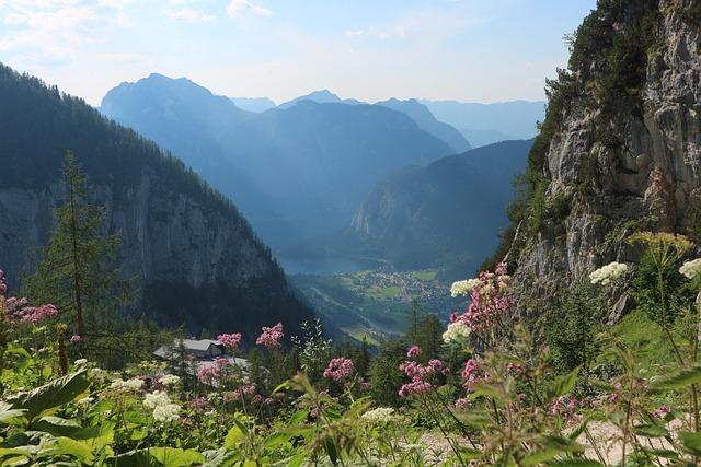 mountains, flower wallpaper, alpine, austria, landscape, beautiful flowers, flower background, panorama, mountain landscape, hiking, alpine panorama, nature, lighting, flowers