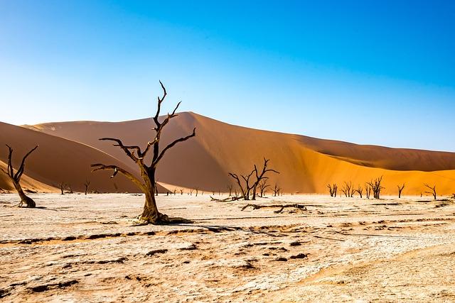 namibia, deadvlei, desert