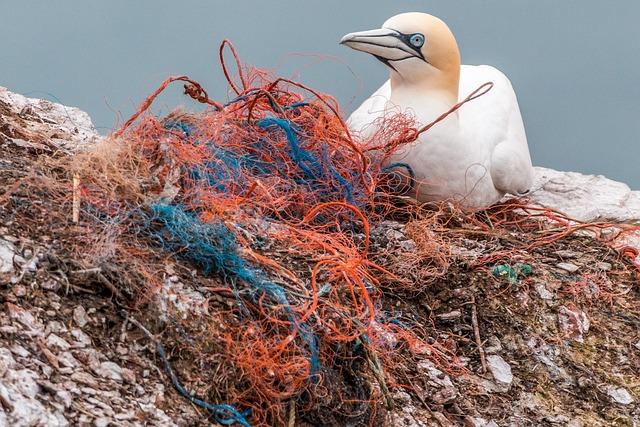 safety net, spirit network, plastic waste