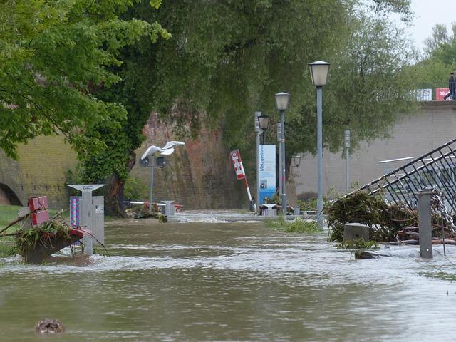 flood, danube, ulm