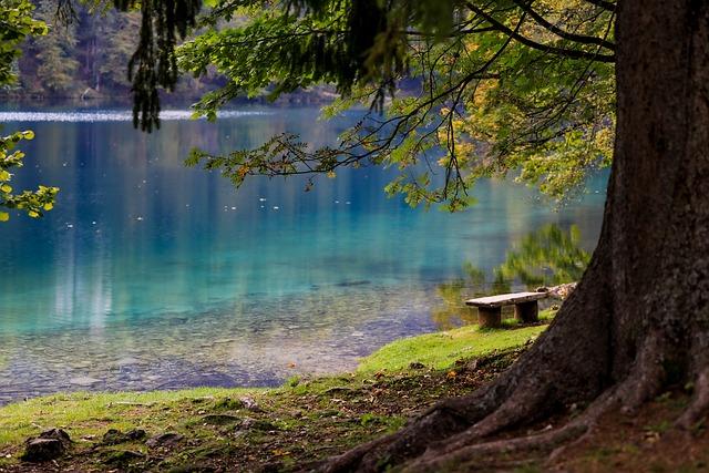 lake, forest, park