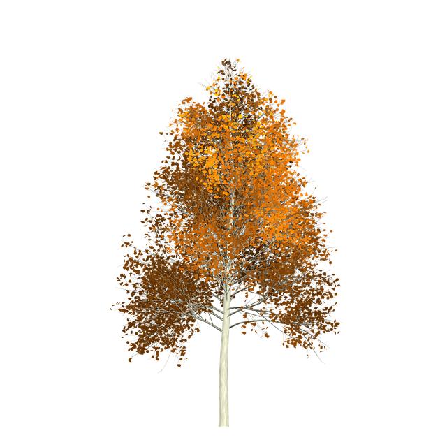 The Trembling Beauty of Nature: Exploring the Wonders of Quaking Aspen (Populus tremuloides)