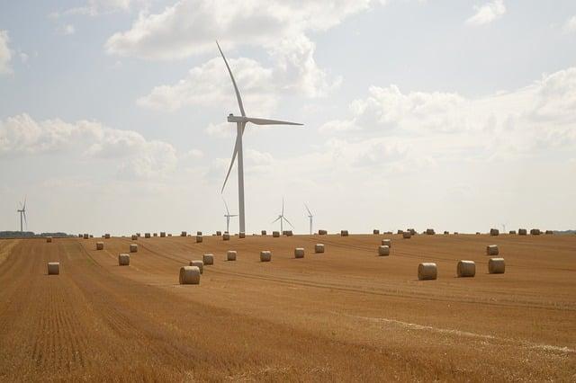 IEA trims global renewables forecast amid US/China policy shifts