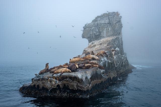 Galápagos Marine Reserve