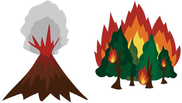 disaster, hazard, forest fires