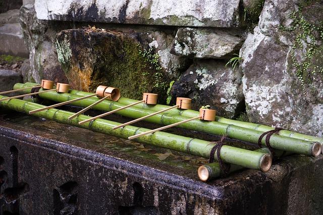 japan, bamboo, temple