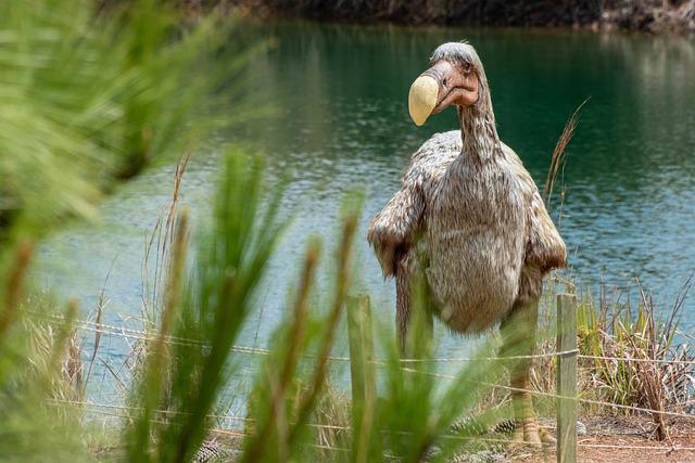 dodo, gondava, park